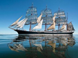 Bark_Sedov